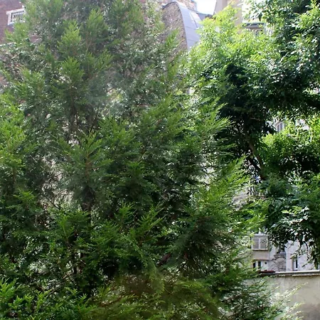 A Cosy Gem 2 Steps From The Sacre-coeur דירה פריז